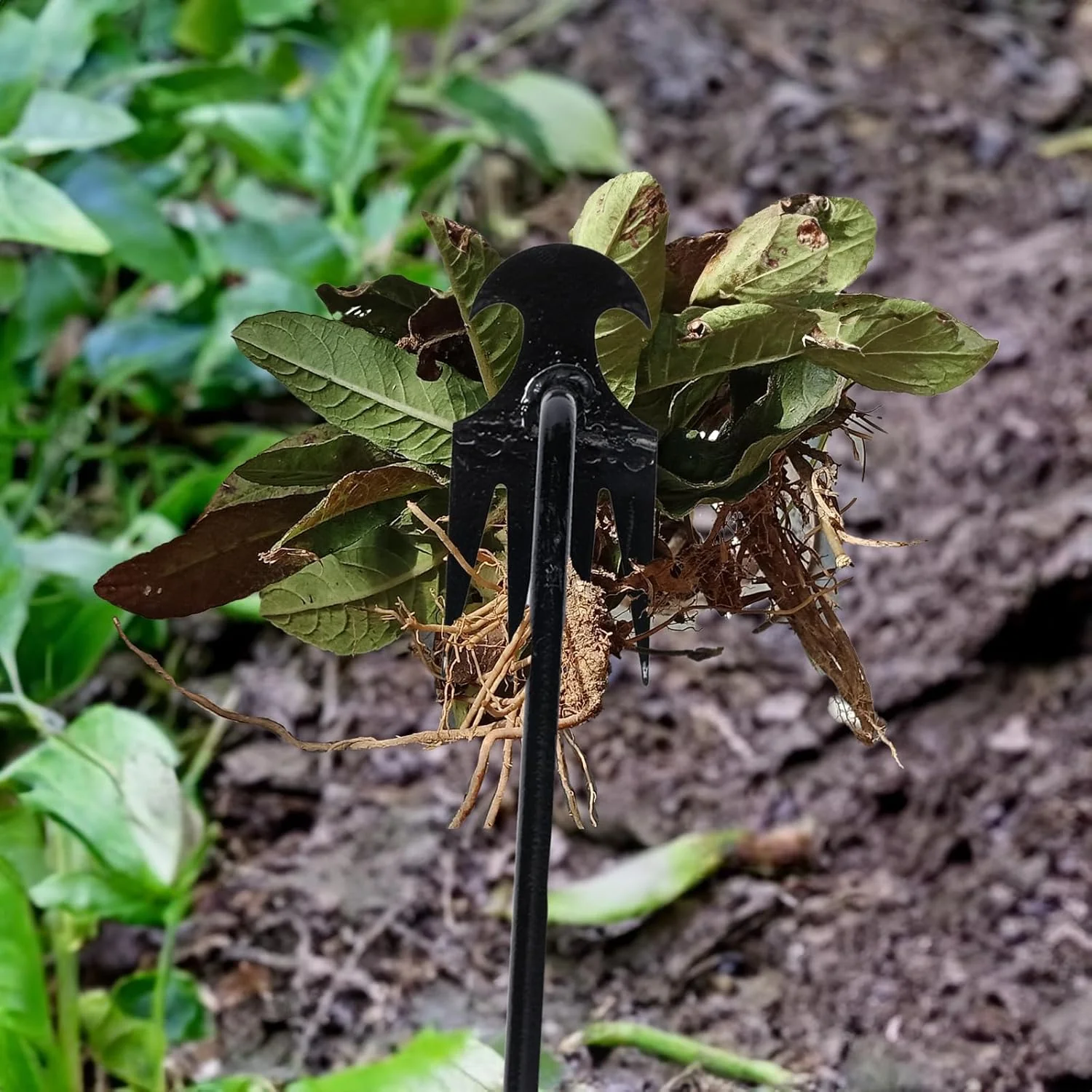 Saker Garden Weed Pulling Tool - Image 3