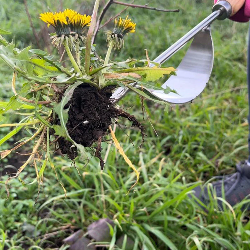 SAKER Hand Weeder Tool - Image 6