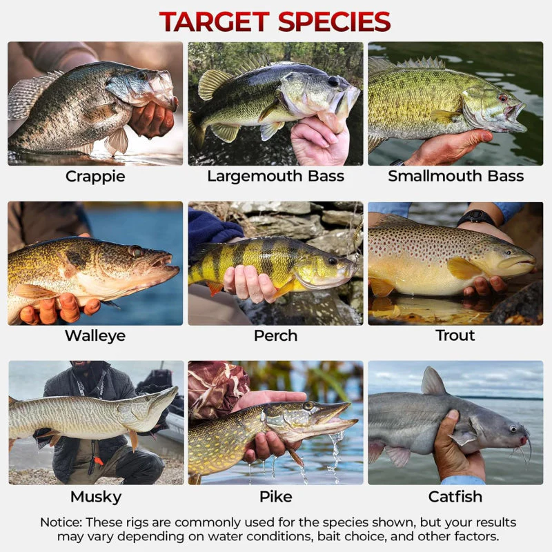 Sakerplus® Fishing Gear Accessories Kit Set - Image 7