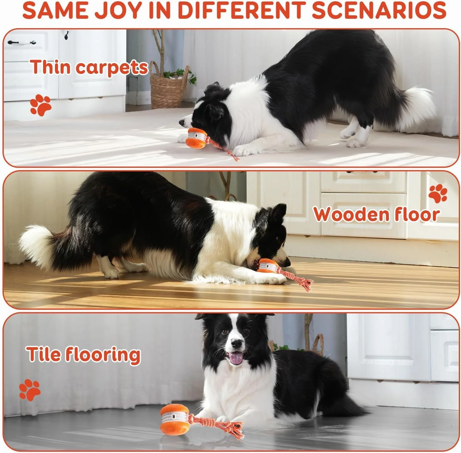 Sakerplus® Interactive Automatic Dog Toy Ball - Image 3