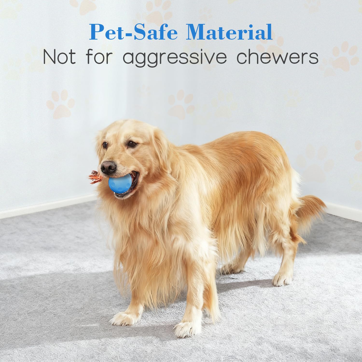 Sakerplus® Interactive Automatic Dog Toy Ball - Image 5