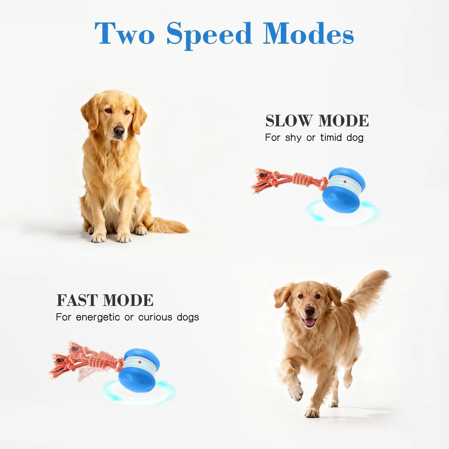 Sakerplus® Interactive Automatic Dog Toy Ball - Image 8