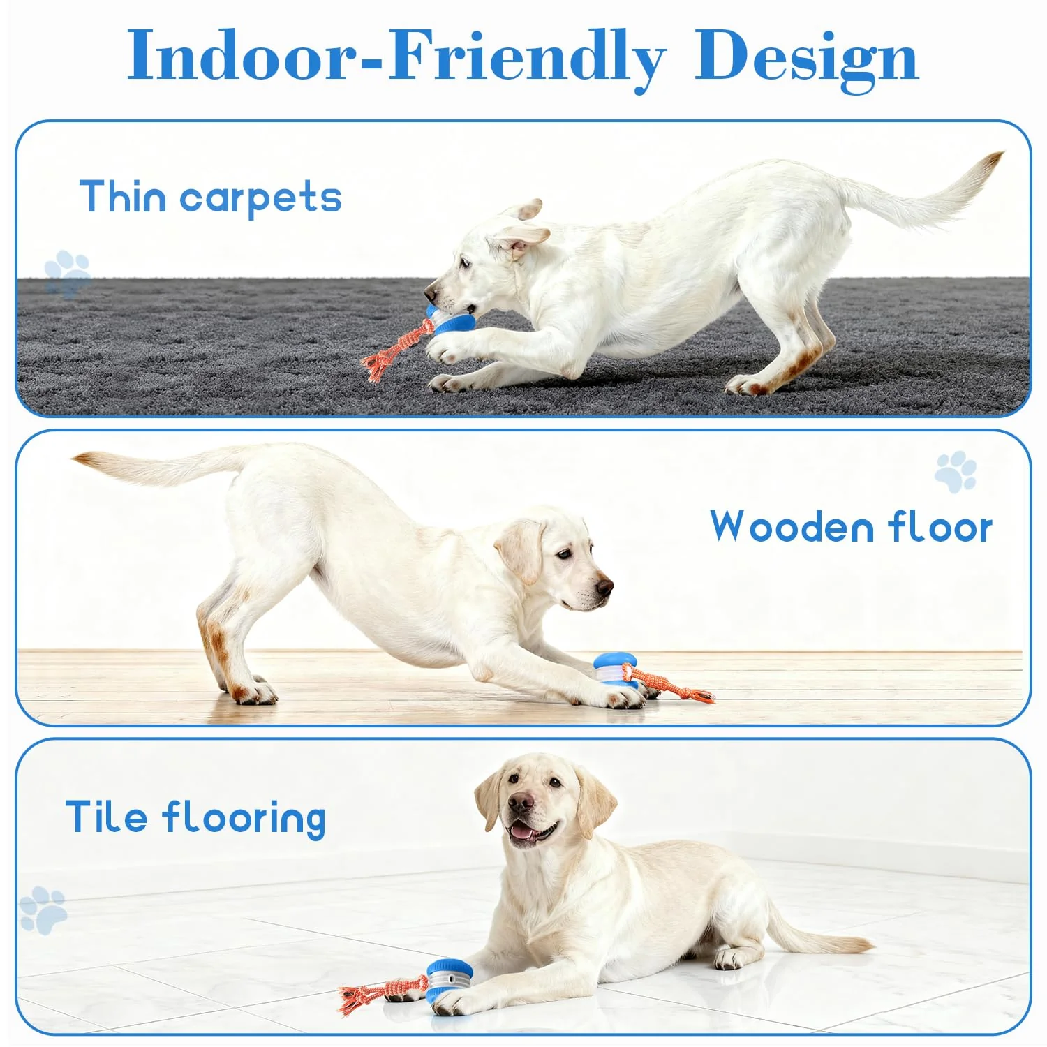 Sakerplus® Interactive Automatic Dog Toy Ball - Image 9