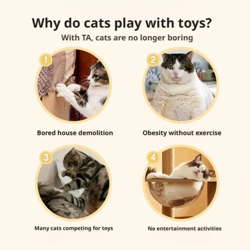 Sakerplus® Interactive Cat Toy Automatic Chasing Play - Image 10