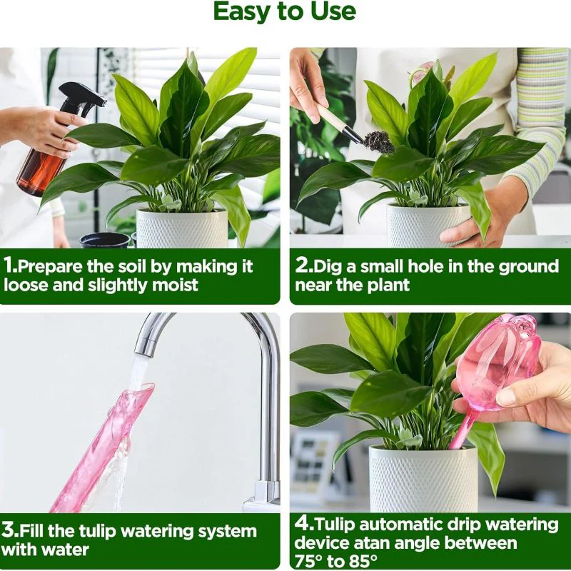 Sakerplus® Self Watering Globes For Plants - Image 10