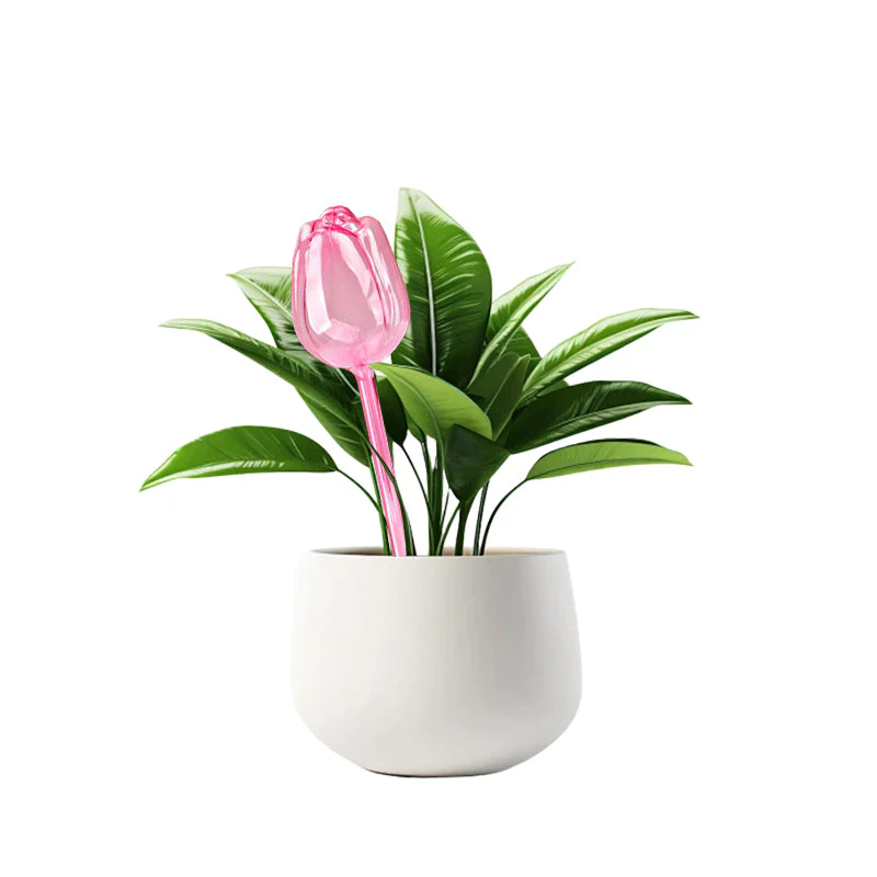 Sakerplus® Self Watering Globes For Plants - Image 11