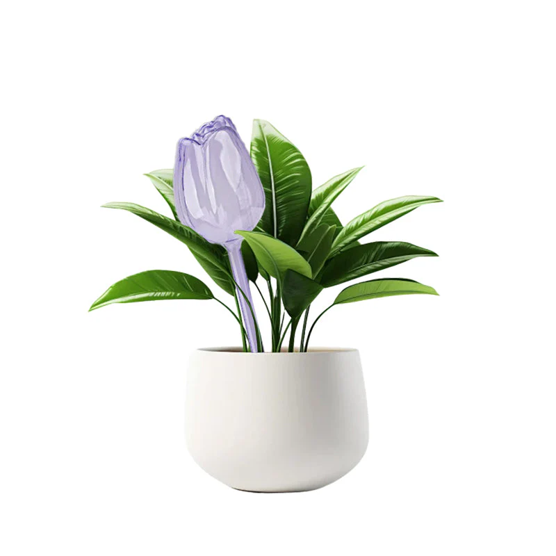 Sakerplus® Self Watering Globes For Plants - Image 12