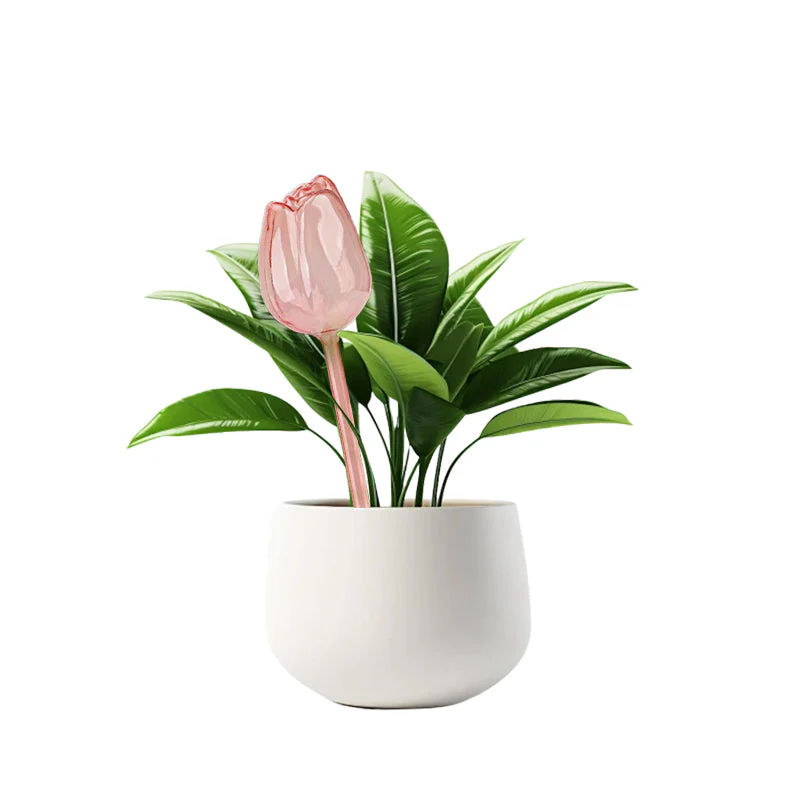 Sakerplus® Self Watering Globes For Plants - Image 13