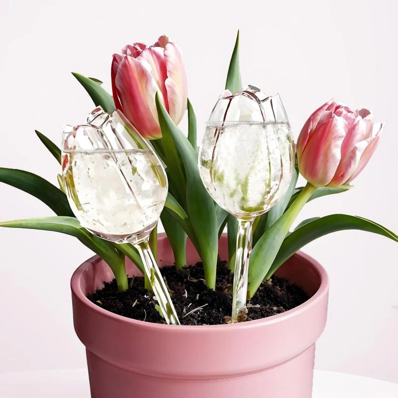 Sakerplus® Self Watering Globes For Plants - Image 5