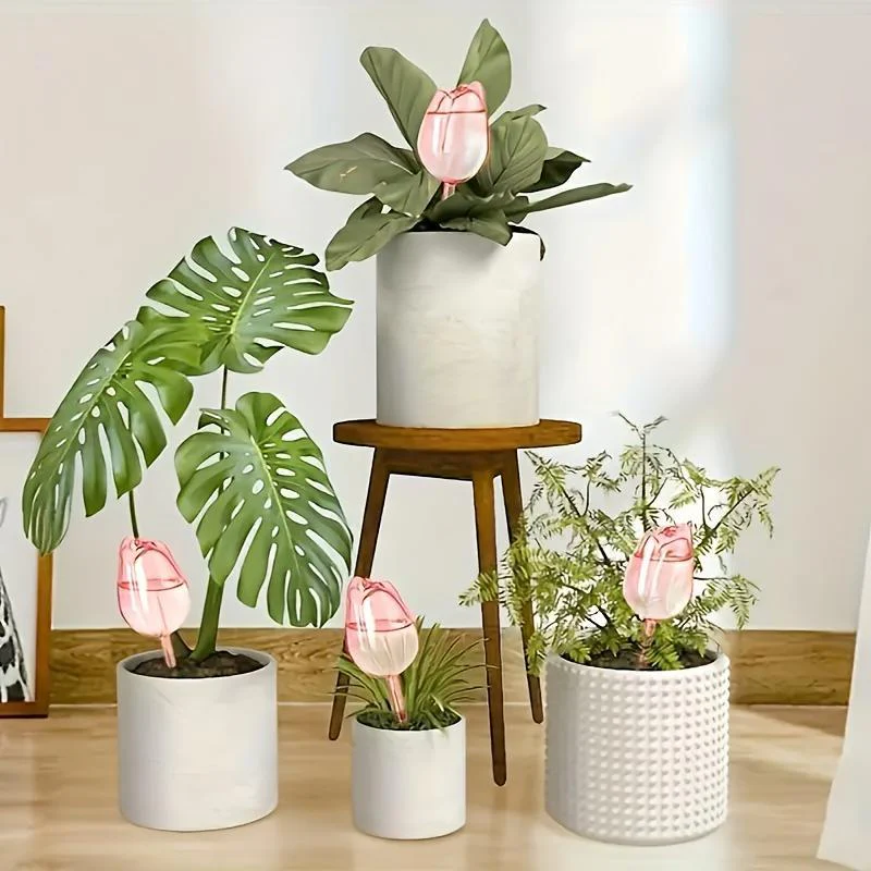 Sakerplus® Self Watering Globes For Plants - Image 7