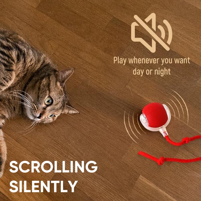 Sakerplus® Smart Automatic Rolling Pet Ball - Image 6