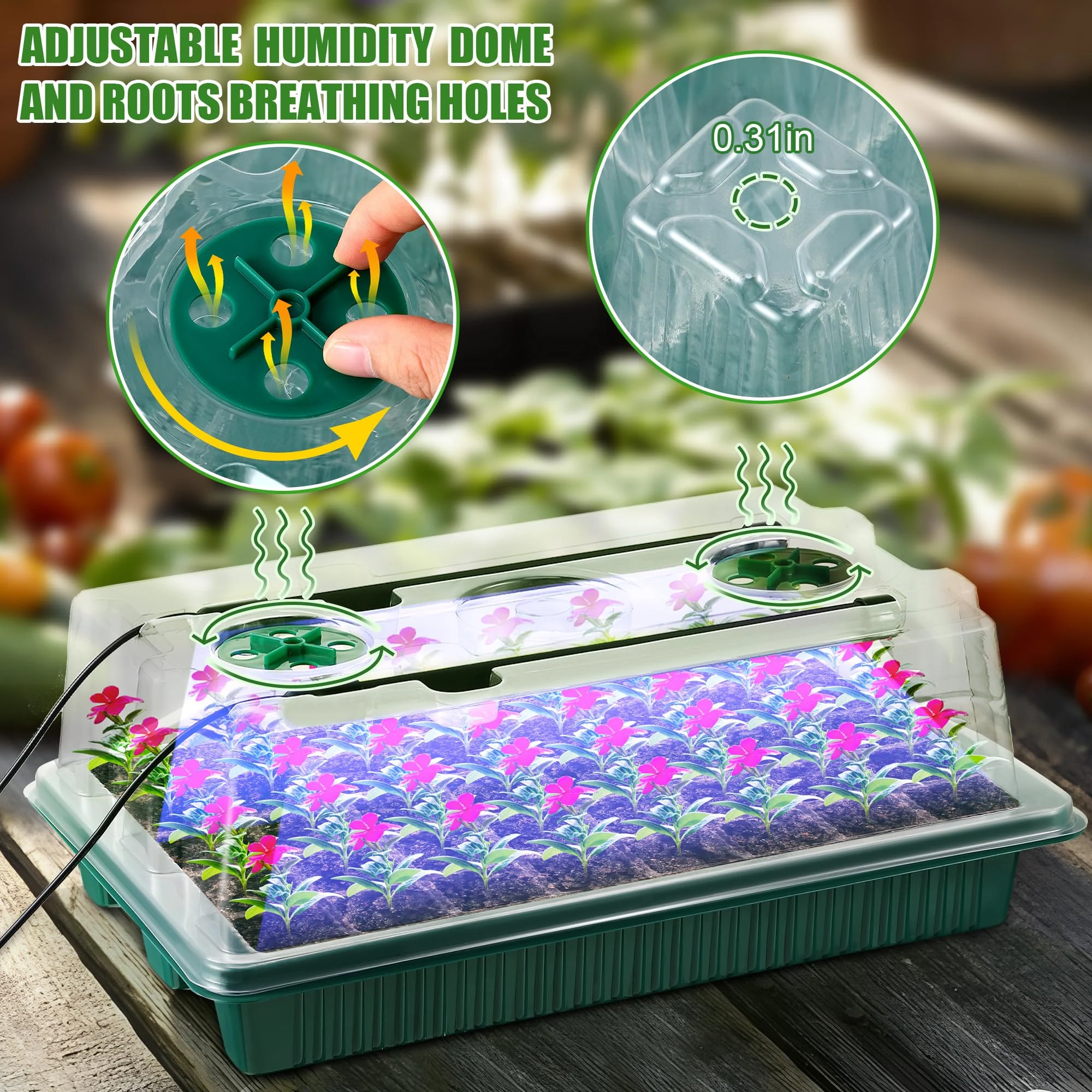 Sakerplus 2 Pack Seed Starter Tray with Grow Light - Image 6
