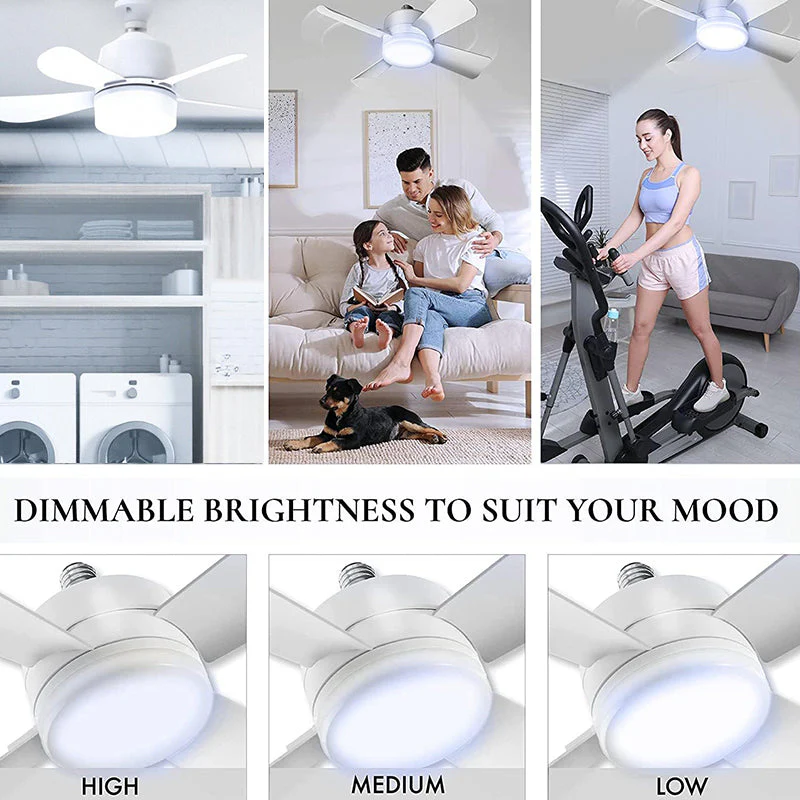 Sakerplus Ceiling Fan Light With Remote Control - Image 4