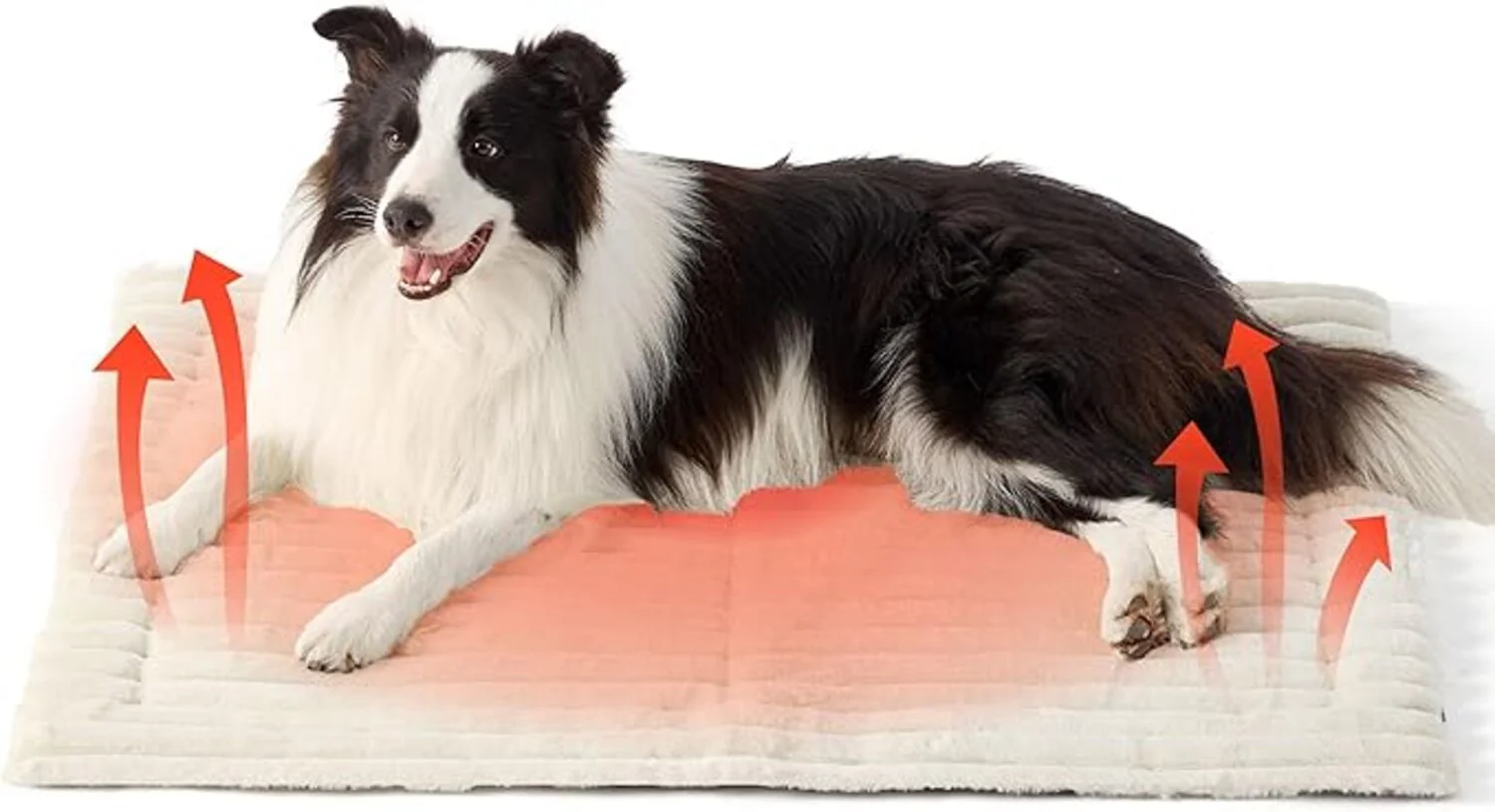 Sakerplus Self Warming Thermal Pet Bed Mat - Image 11